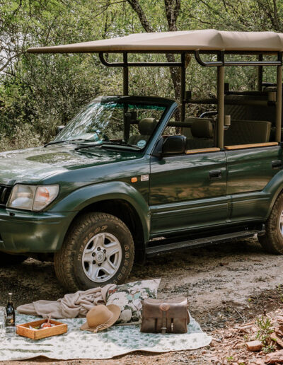 Game Drive