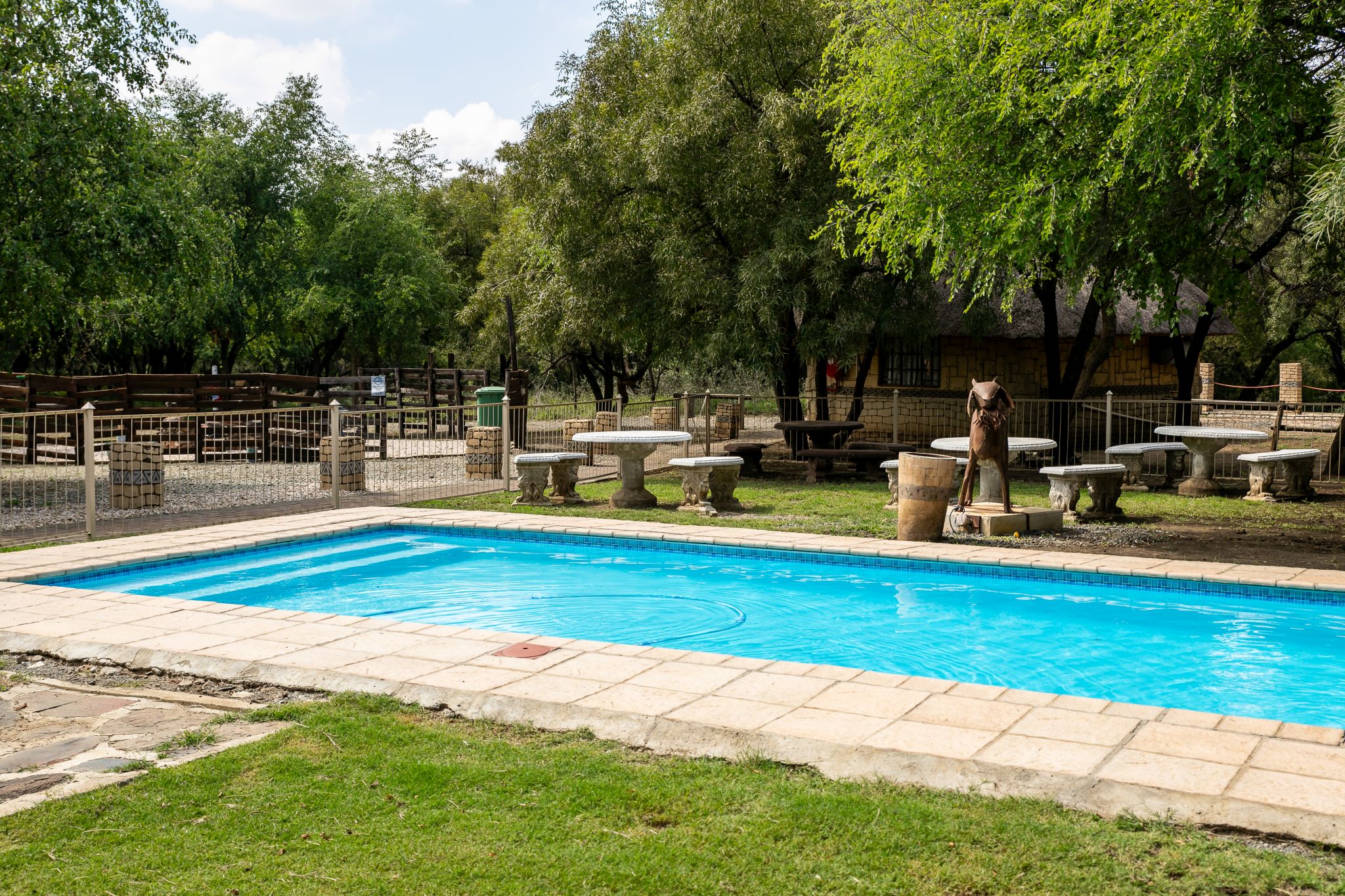 Photo of the pool area